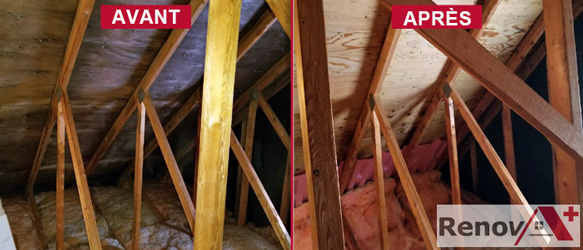 RenovA+ Décontamination | Moisissures, Vermiculite et Isolation d'entretoit — Spécialiste en isolation à Longueuil