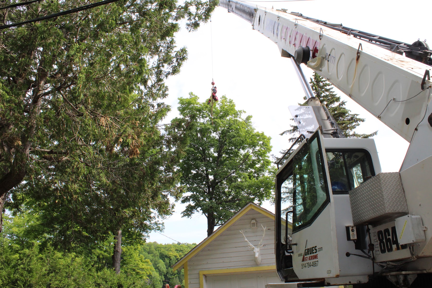 Services d'Arbres Leclerc — Arboriculteur à Gore