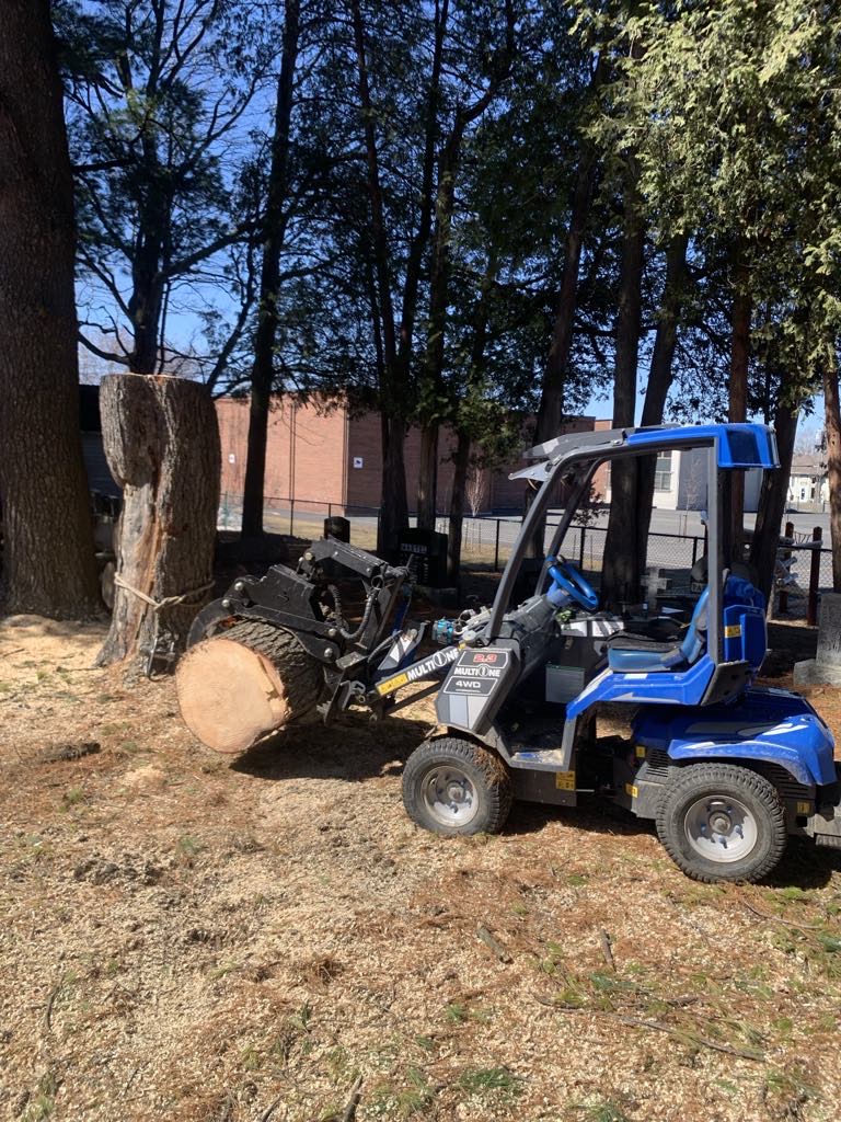 Arbor élagage MG inc Drummondville — Arboriculteur à L'Avenir
