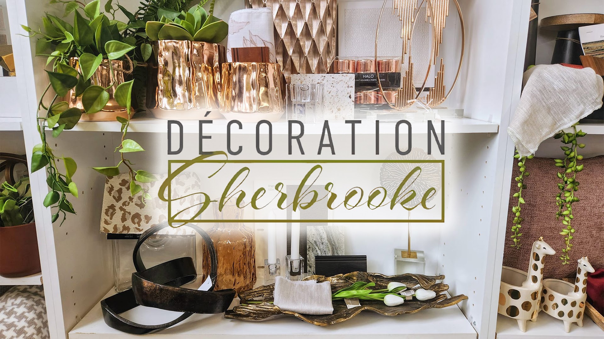 Décoration Sherbrooke | Modélisation 3D & Designers, Carpettes, Papiers peints & Décorations en Estrie — Designer intérieur à Sherbrooke