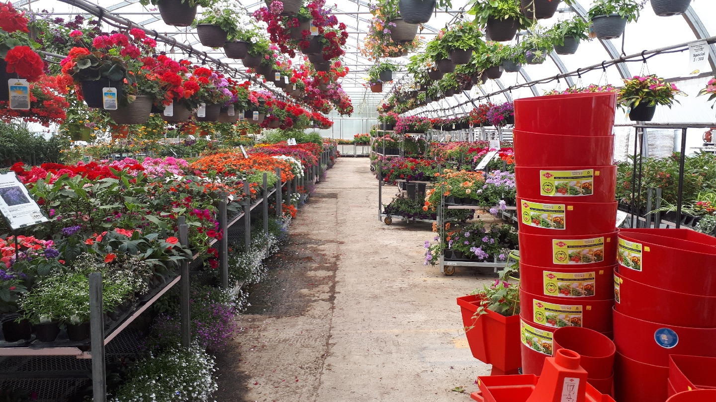 Jardinerie Chez BEN Garden Center & Les Serres Chlorophylle Inc. (Les Cèdres, QC). — Aménagement paysager à Les Cèdres