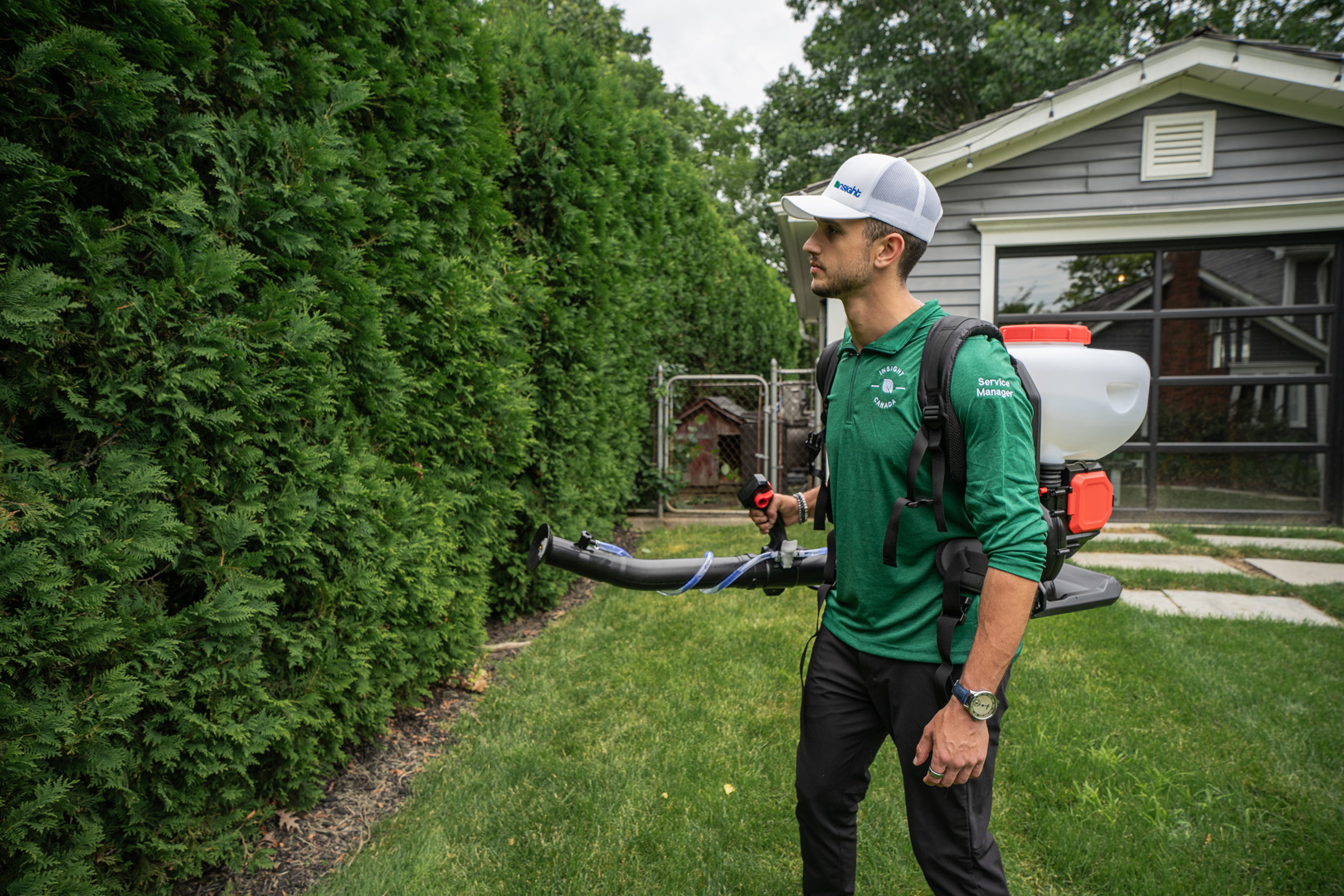 Insight Pest Solutions - Montréal, QC — Exterminateur à Montréal