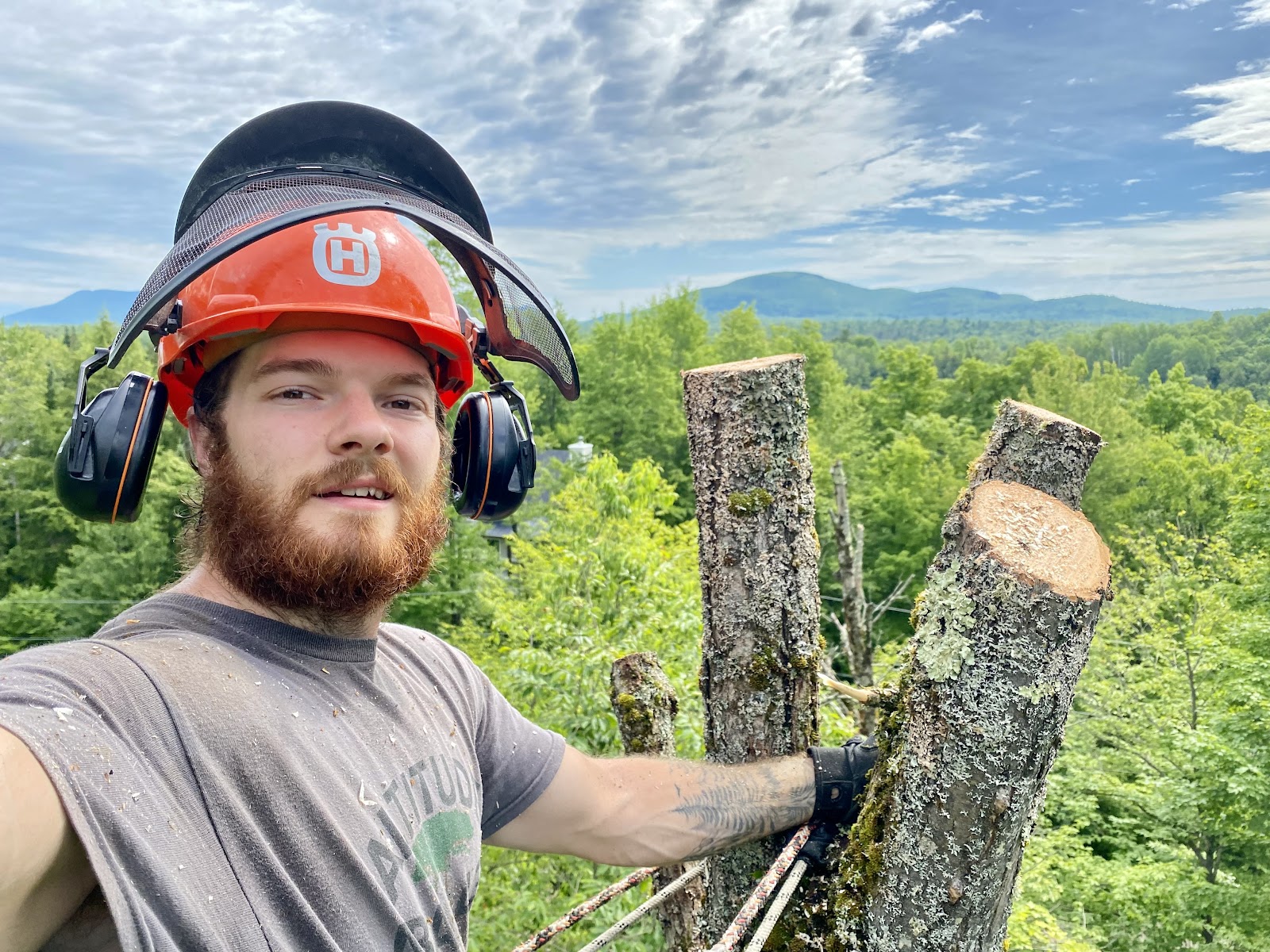 Altitude Abattage - Services d'arbres, Élagage, Émondage — Arboriculteur à Eastman
