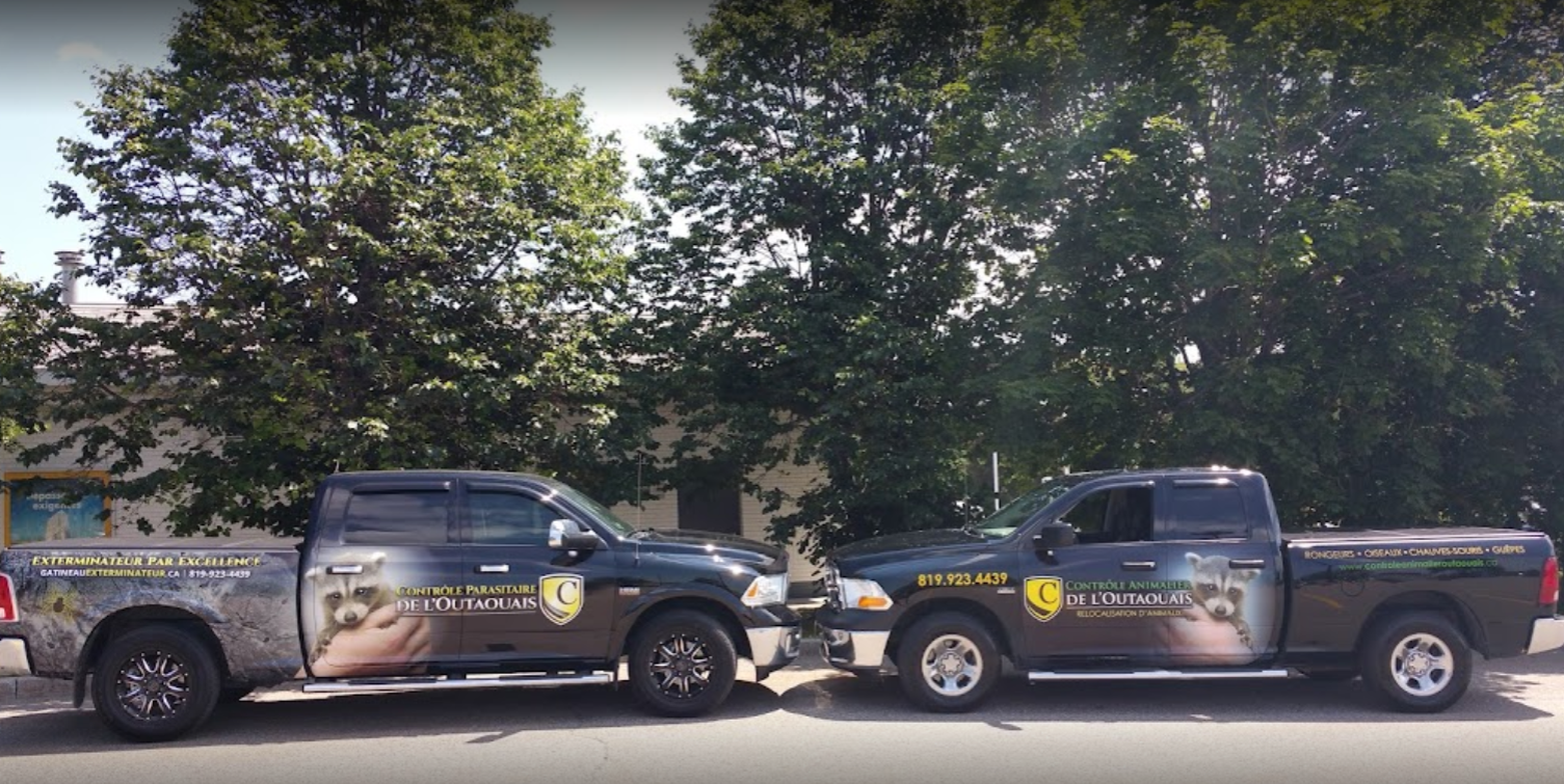 Exterminateur Gatineau CPO Contrôle Parasitaire / CPO Pest Contol — Exterminateur à Gatineau