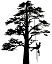 McDuff Services d'arbres